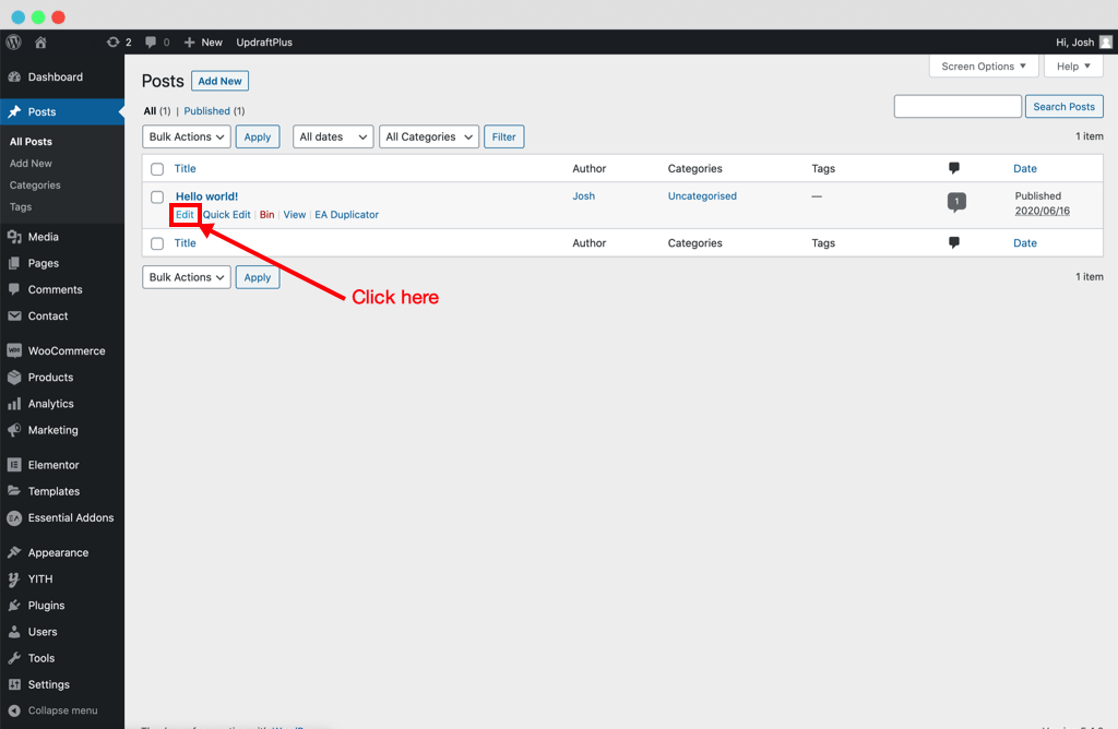 WordPress Edit Post
