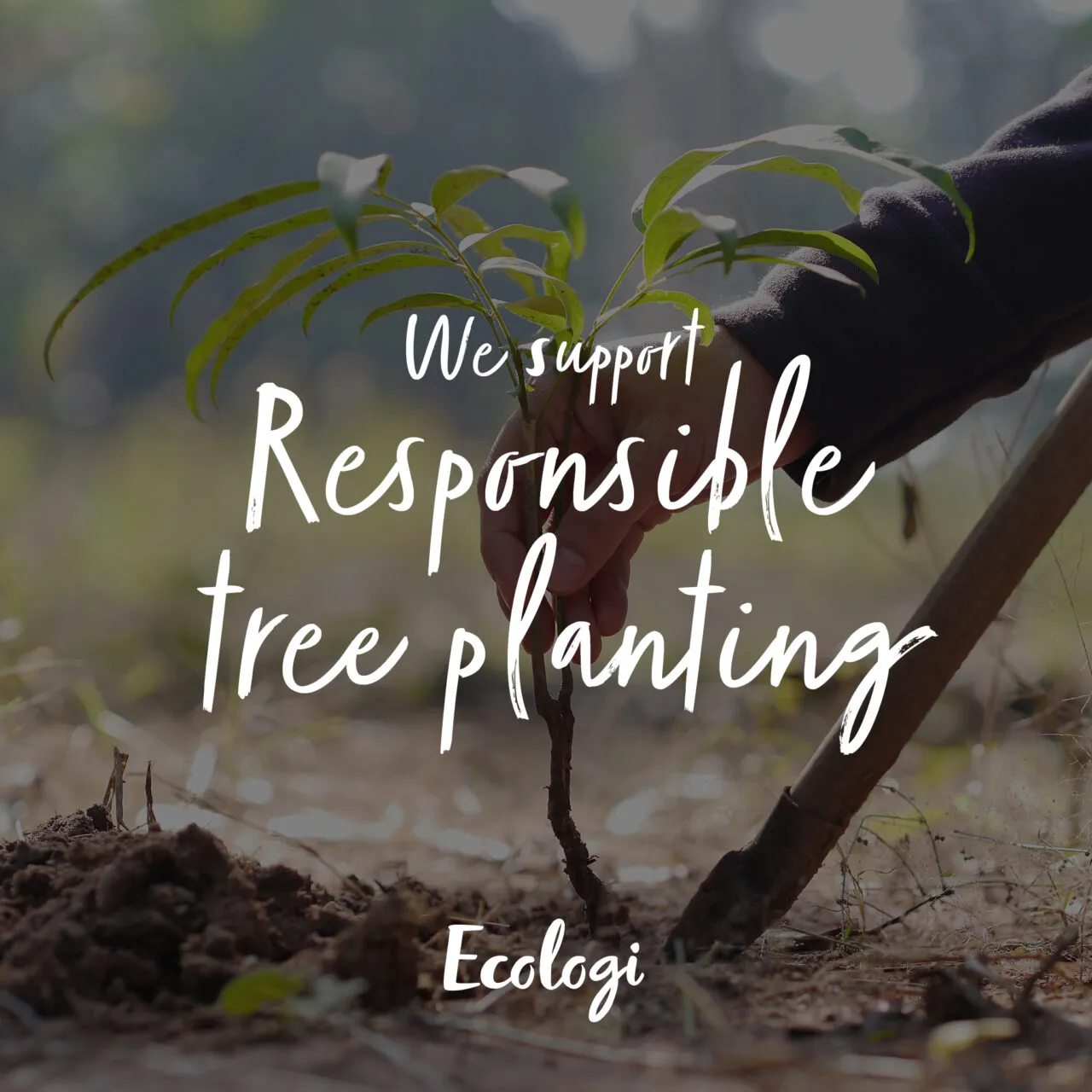 Prystine backs responsible tree planting