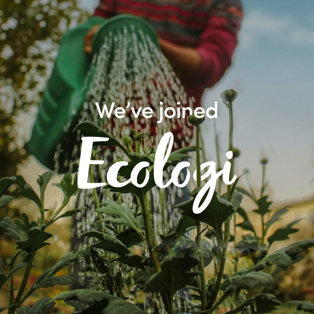 Prystine Joins Ecologi