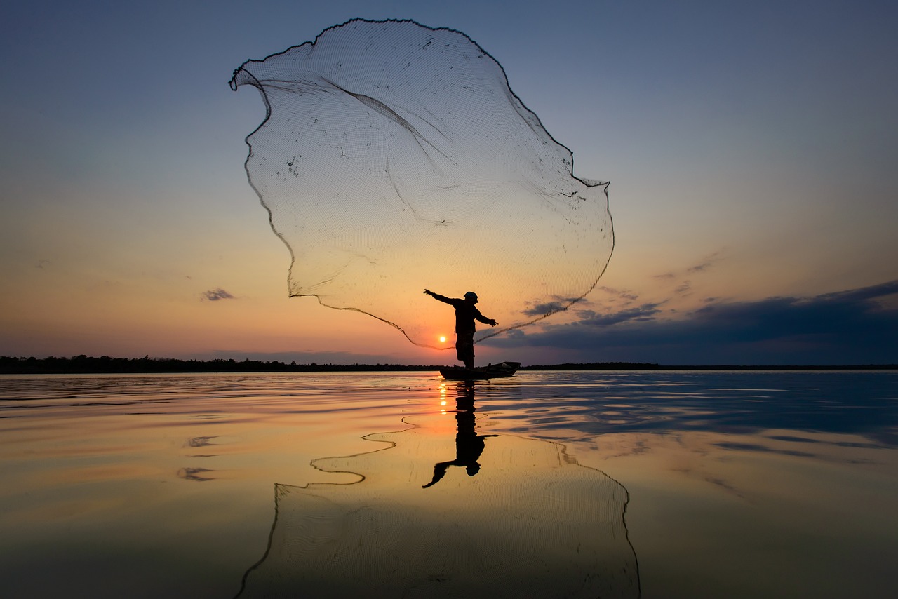 Catching fish: a guide to improving search ranking visibility through content marketing