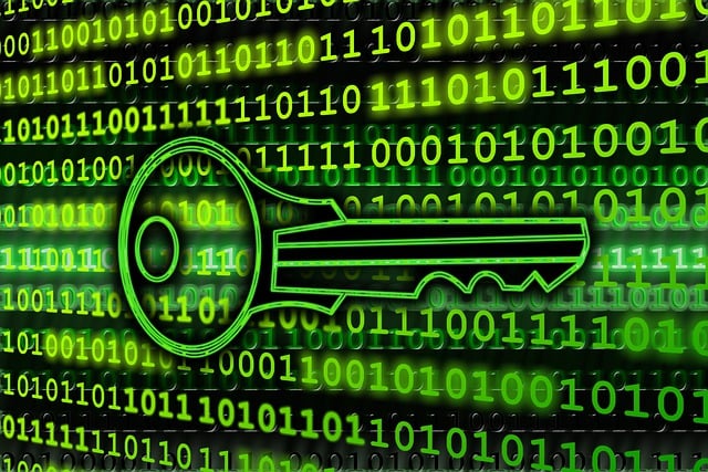 Security Best Practices: Keeping Your Website and User Data Safe