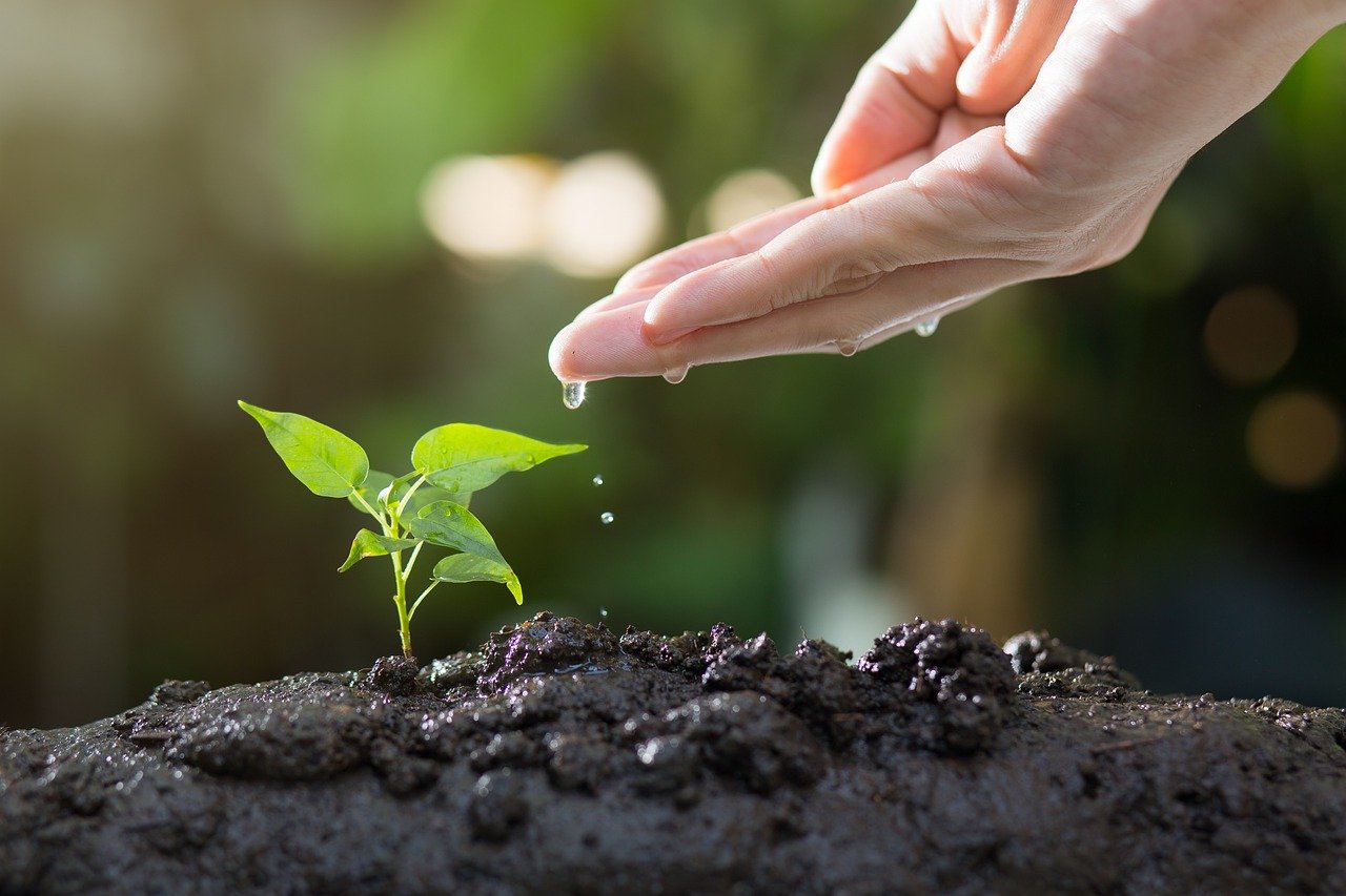 Sustainable Web Development: Why It Matters More Than Ever