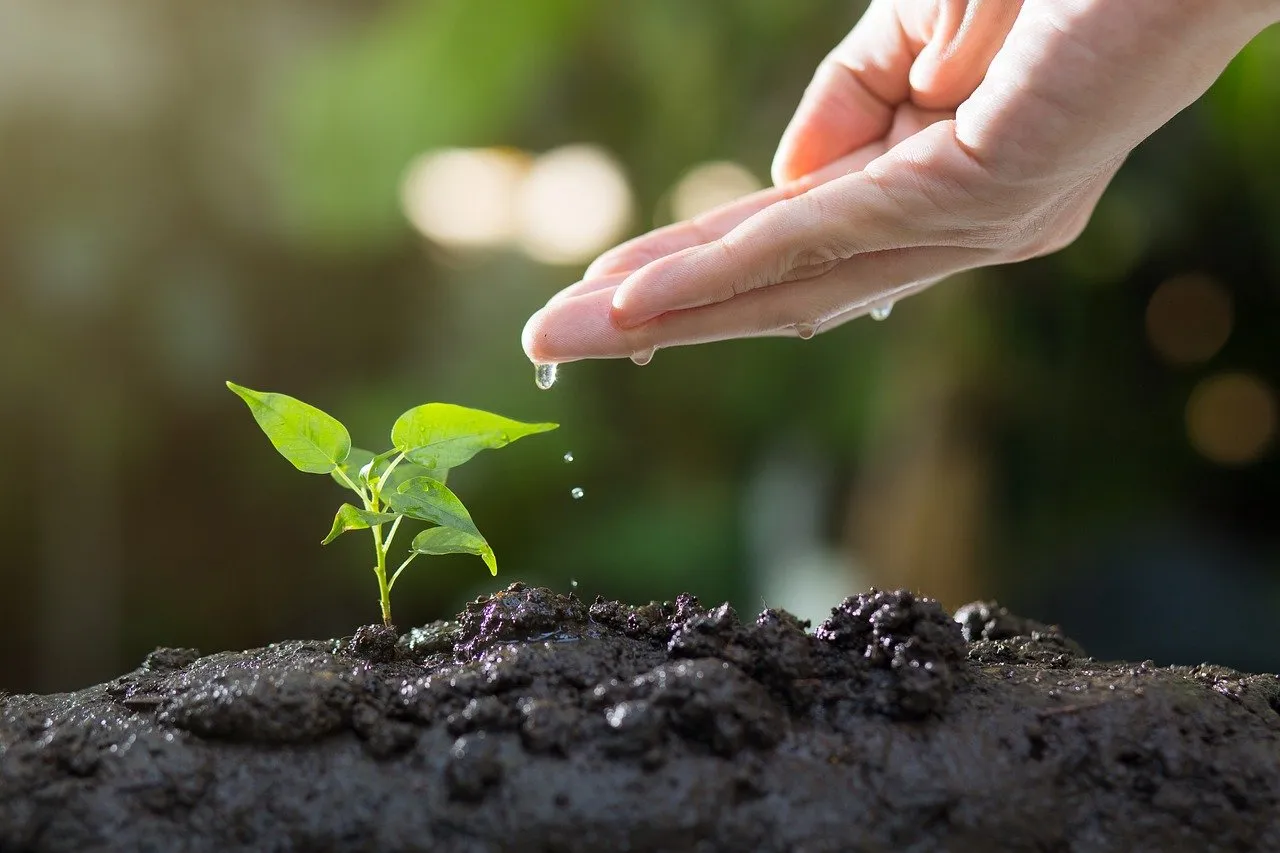 Sustainable Web Development: Why It Matters More Than Ever